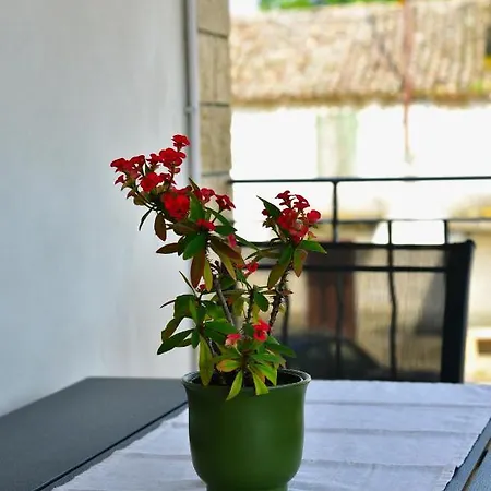 Banko Apartment Porec
